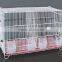 Wholesale Medium Double Bird Cages For Red-Billed Leiothrix White-Eye                        
                                                Quality Choice