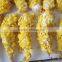 breadcrumb processing line/Bread Crumb Making Machine/Bread Crumb Equipment