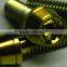 DIN 912 ISO 7380 Titanium Bolt /screw for Mountain Bike Made in China