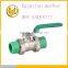 Made in China High Quality Brass Ball Valve for Water 1/4" up to 4"