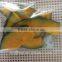 Supply VF Dried Vegetables Chips- VF Dried Pumpkin Slices for Hot Sales