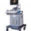 portable trolly 3d 4d color doppler ultrasound machine 6018II
