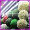 preserved boxwood ball faux boxwood balls decorative boxwood ball