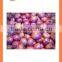 Chinese new crop product export Fresh red onion