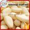 Chinese organic pine nuts kernels supplier