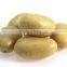 Promotion Offer Mesh bags packede Potato