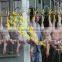 chicken slaughter machine/ Halal chicken slaughter machine line