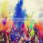 Gulal Color Party Decoration Event & Party Supplies Type holi Colour powder