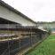Eonomical commercial steel frame broiler chicken house