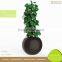 Home Decor Hydroponic Flower Growing Pots