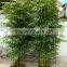 Green decorative bamboo fencing