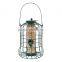 Squirrel Buster Plus Wild bird seed feeder