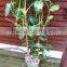 Thick walled cheap tonkin bamboo poles wholesale for plants
