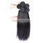 Virgin Indian Hair Vendors Shengyuan Factory Wholesale 100% Remy Indian Human Hair
