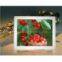 7 Inch Glass Digita Photo Frame/DPF