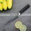 Super sharp real japanese steel damascus slicing knife