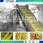 IQF Freezer Frozen French Fries Production Line