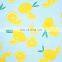 100% Polyester Digital Printing 210D 300D 420D 600D Waterproof Oxford Fabric