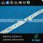 High Lumen Ultra Bright Led Strip Lighting 5050