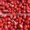 Organic adzuki bean