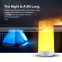 Portable Magnet Flame Lamp USB Rechargeable Smart Remote Control Night Light for Desk Kitchen bar