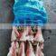 high quality frozen giant squid tip indian ocean squid tail