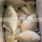 top quality IQF golden pomfret frozen golden pompano frozen golden pomfret fish good price