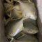 Good Golden Pompano, Golden Pomfret, Golden Pompano 300-400g/400-600g/500-600g/800+