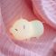 dropshipping night light silicone lamp Colorful Cute Cartoon Pig LED Lamp Touch Sensor USB Charging Silicon For Kids gift