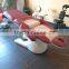 best selling Electric Lift Beauty massage Bed for beauty salon