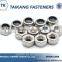 High Quality Made in China 304 Nylon Lock Nut