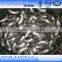stainless steel 316 stainless steel elbow