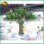 Large artificial banyan tree fiberglass banyan tree for indoor decorative