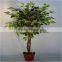 artificial plant banyan tree