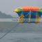 Fly Fish Water Game/Surfing fish/FLYFISH/Inflatable game