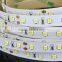 DC12v/24V smd 2835 led strip light 120leds waterproof with CE ROHS