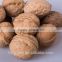 Supply with Chinese Bulk Walnuts in Shell for Sales