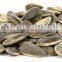We sale Varied Roasted salted sunflower seeds