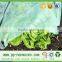 pp spunbond nonwoven fabric weed control agriculture cover
