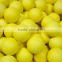 56mm hot sale rubber racquetball racket ball sport ball/ Can Package