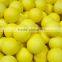 45mm Hot Sale Anti Stress Rubber Ball, Juggle Ball
