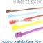 Double lock self-locking Plastic zip binding ties cable ties pa66 Nylon