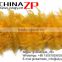 NO.1 Supplier CHINAZP Bulk Sale Cheap 40 Gram Weight in Stock Dyed Gold Turkey Chandelle Feathers Plumage Boas