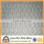 2016 China PVC Coated Iron Hexagonal wire Mesh