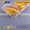 Customized PET clear plastic packaging box for 3 fruit mango
