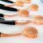 2017 Hot Sale 10pcs Cosmetic Brush Foundation Oval Makeup Brush Set