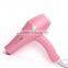 Professional DC Motor AC Motor Hair Dryer