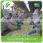 2015 new crop fresh peeled garlic packed in jar factory in jinxiang