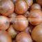 2015 crop fresh yellow onion for sale with cheap price from China