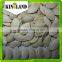 shine skin pumpkin seeds inquiry with lowest price and good quality